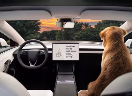 Tesla Model 3 2025 Long Range AWD