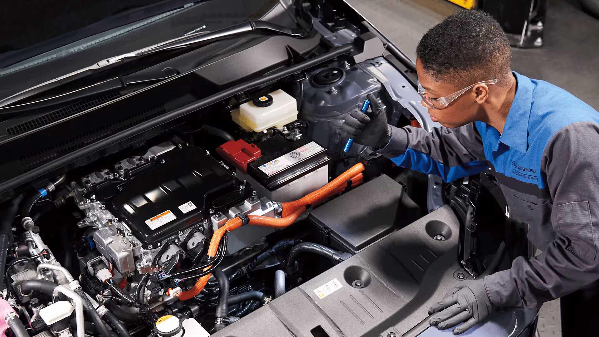 EV Battery Diagnostics & Health Check